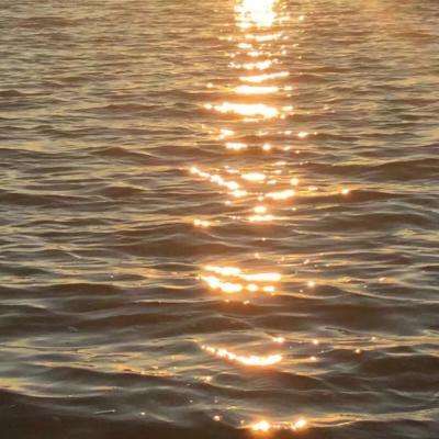 欧博娱乐体育app综合体育APP下载截图